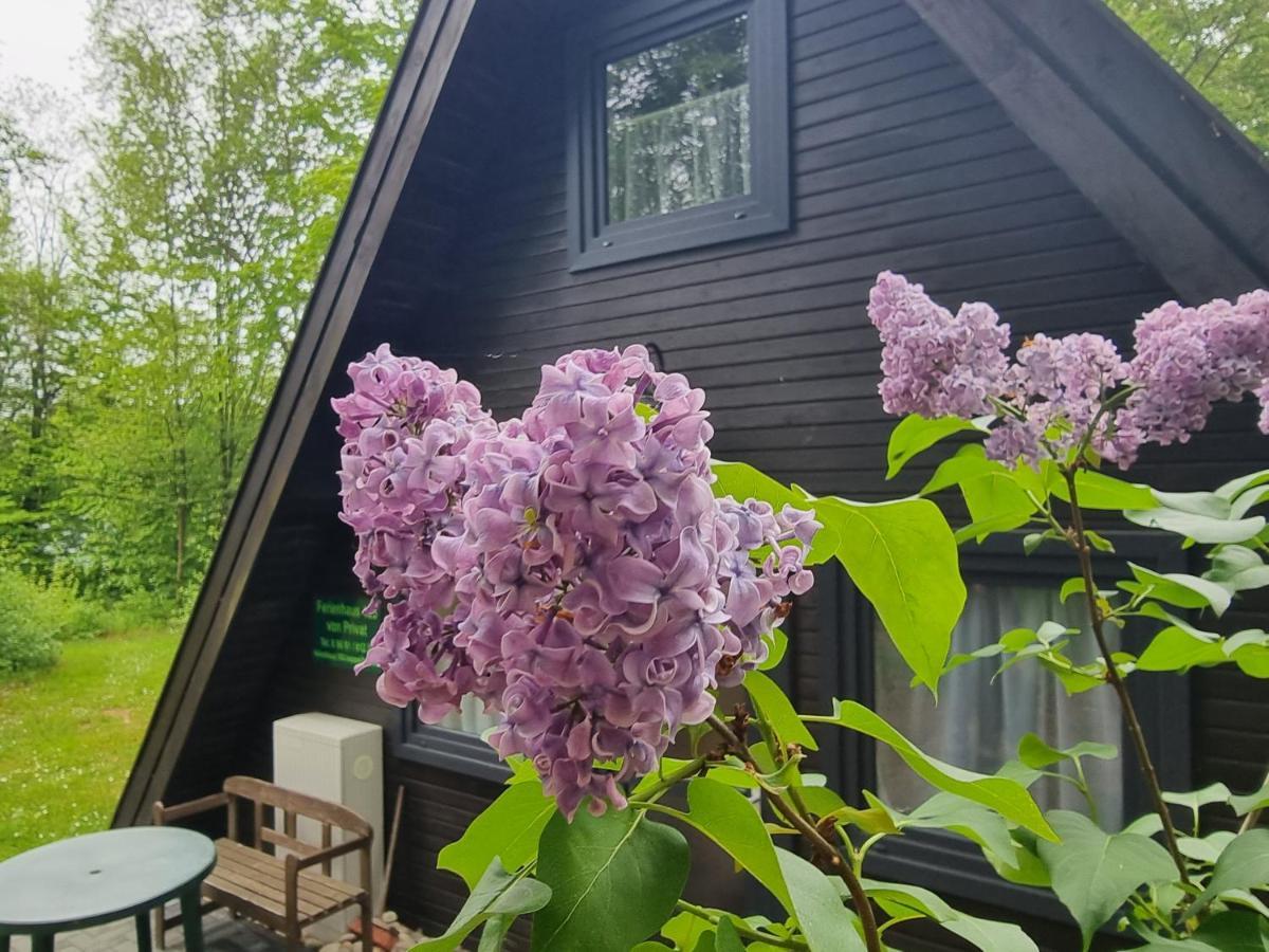 Ferienhaus Marie 125 Bad Arolsen Exteriér fotografie